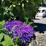 דירה Lavanda רוסט