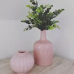 Lavanda