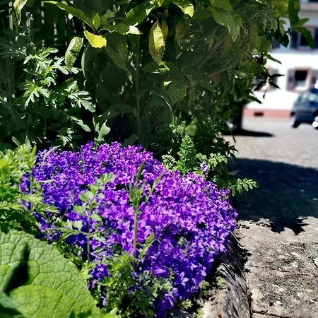 Apartment Lavanda Rust